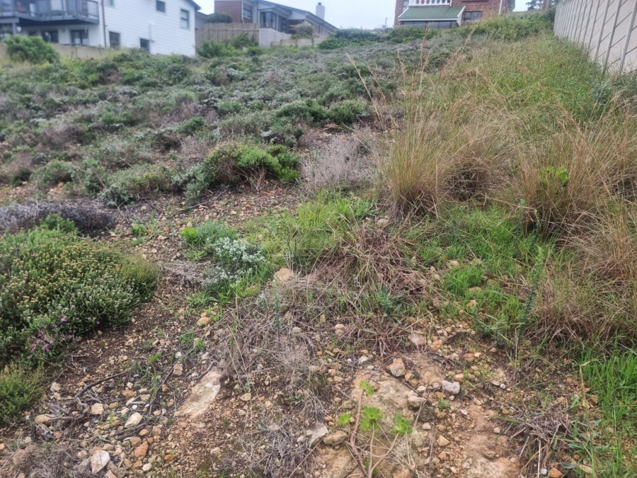 0 Bedroom Property for Sale in Dana Bay Western Cape